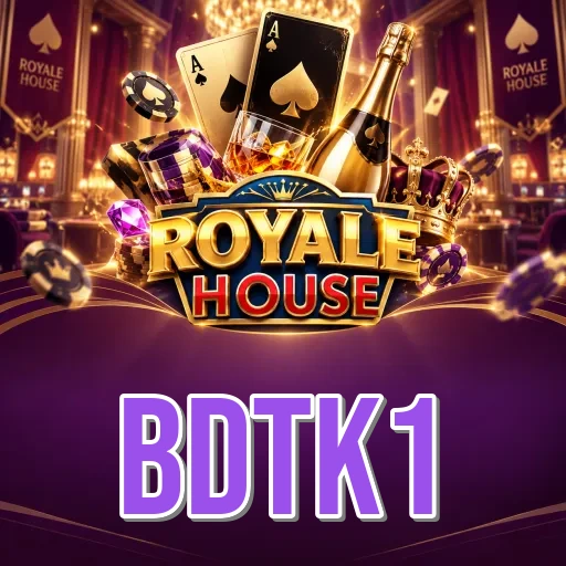 Executive Summary - bdtk1 Testing Results